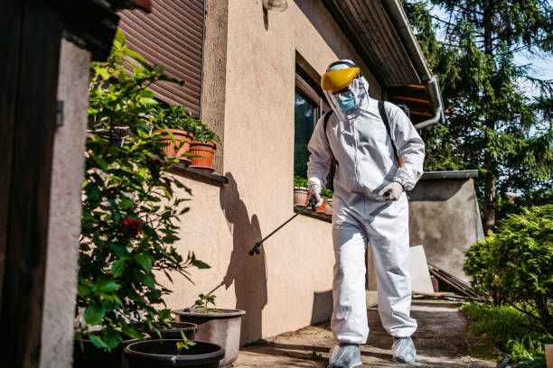 Best Insect Control  in Storrs, CT