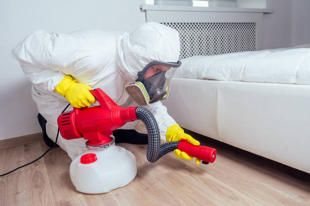 Best Affordable Pest Control Services  in Storrs, CT