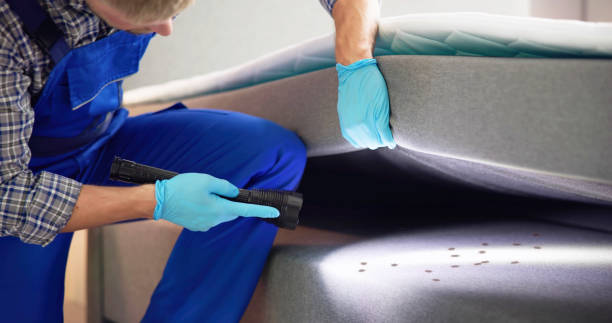 Trusted Storrs, CT Pest Control Experts
